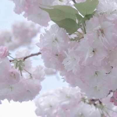 永济FurryQQ群介绍